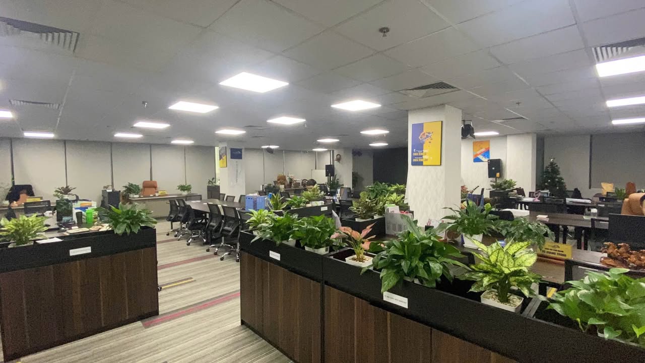 Sàn văn phòng hạng B tại Lê Văn Lương 210m² giá 74 triệu - Không gian làm việc lý tưởng!