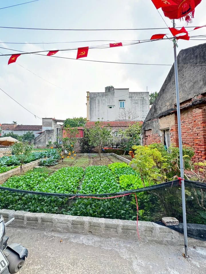 Đất nền chính chủ Chương Dương 80m² giá 4.48 tỷ - Vị trí đắc địa, dễ xây dựng!