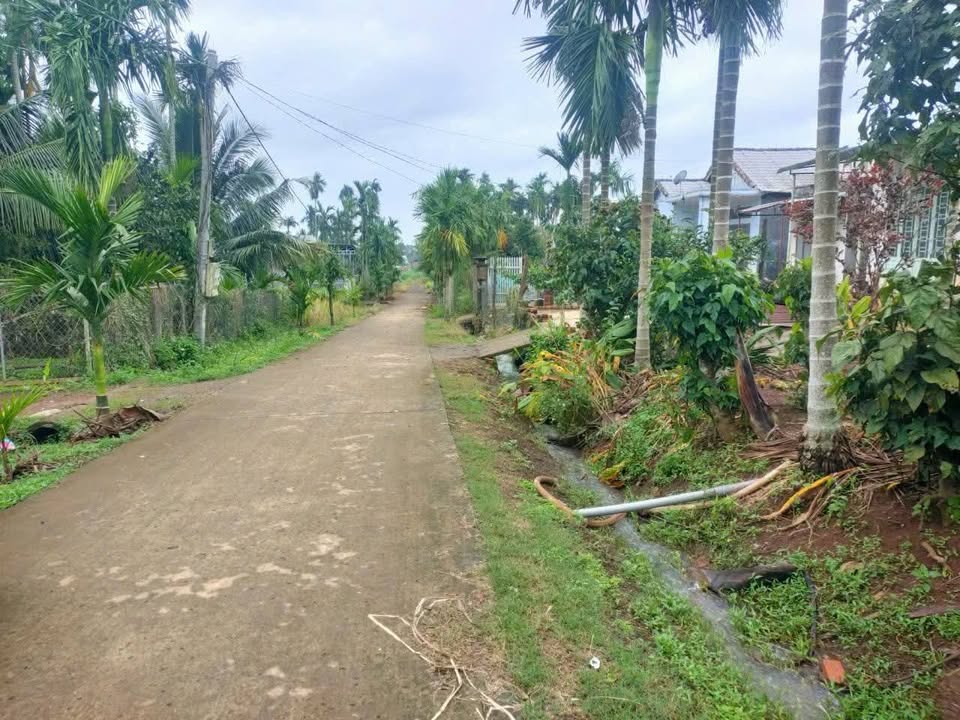 Đất nền thổ cư 315m² tại thôn 6, Ea Drông - Giá chỉ 330 triệu/lô!