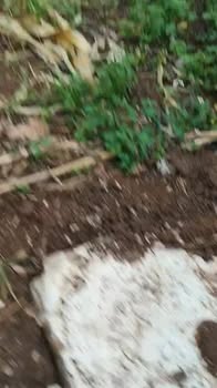 Đất nền chính chủ tại Phường Thống Nhất, 3m² chỉ 250 triệu - Cơ hội đầu tư tuyệt vời!