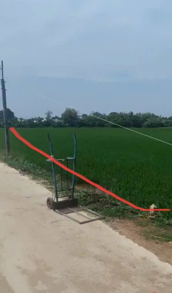 Đất lúa 2670m² mặt tiền lộ Tắc Gồng - Cơ hội đầu tư tuyệt vời!