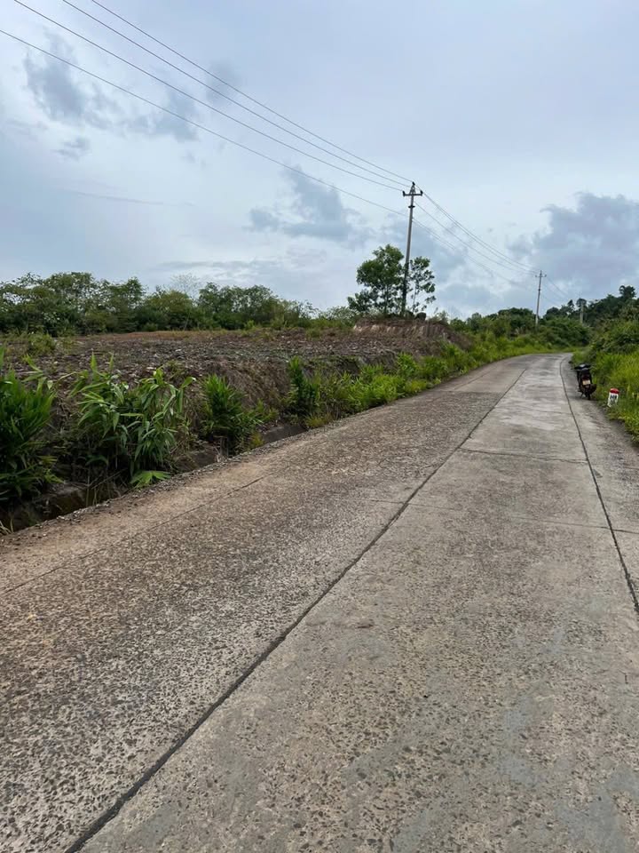 Đất vườn Đắk Sắk 5.500m² giá 950 triệu - Tiềm năng đầu tư lớn!