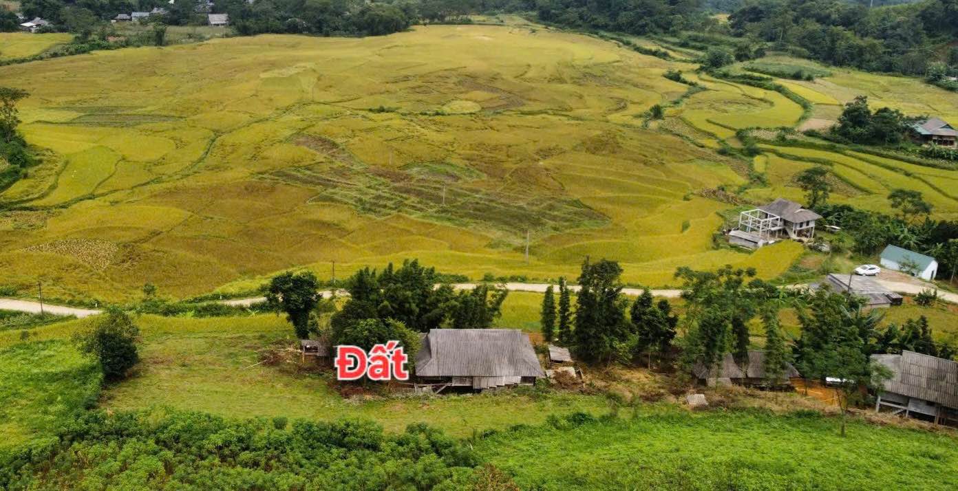 Đất Farm Tân Lạc Hòa Bình 3000m² giá chỉ 1.3 tỷ - View núi non tuyệt đẹp