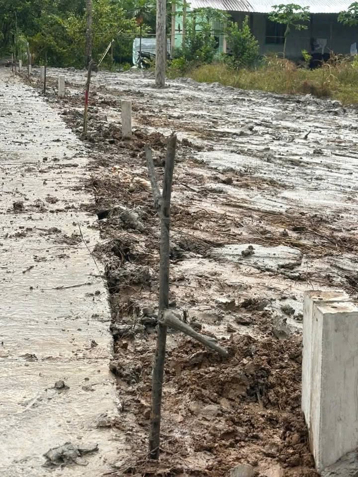 Đất nền Phụng Hiệp 230m² giá chỉ 300 triệu - Đầu tư sinh lời ngay!