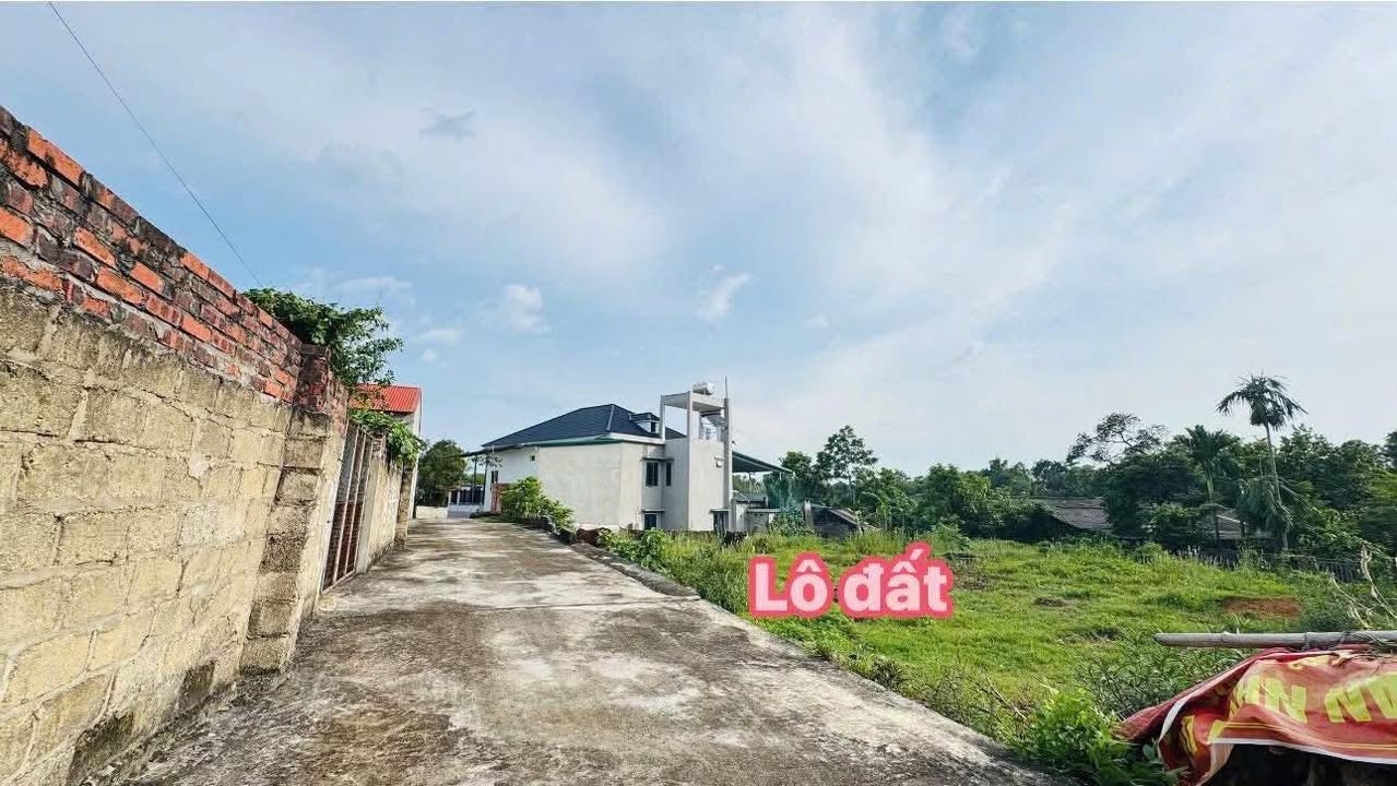 Đất nền thổ cư 119m² tại Xã Liễn Sơn - Giá chỉ 4xx triệu - Cơ hội đầu tư tuyệt vời!