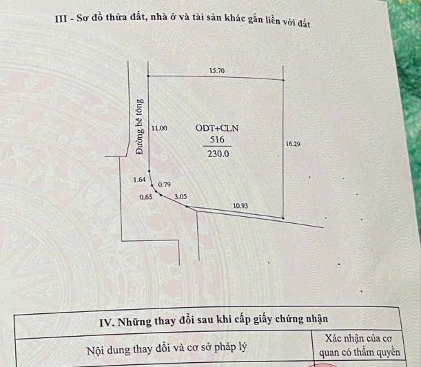 Lô đất đẹp 230m² tại Thị trấn Đồi Ngô, Lục Nam, Bắc Giang - Giá chỉ 2 tỷ!