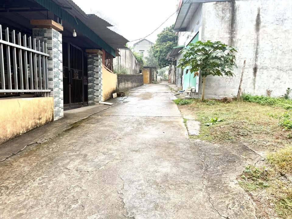 Đất nền khu 3 Vân Phú, Việt Trì 60m² giá 1 tỷ - Cơ hội đầu tư tuyệt vời!