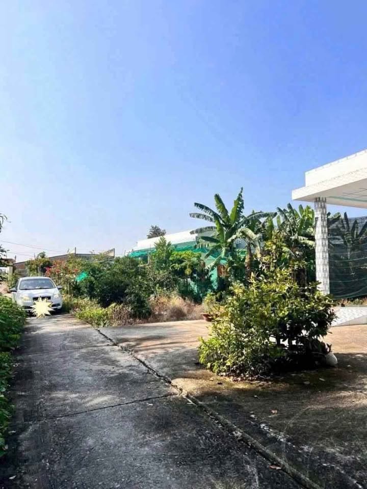 Đất thổ cư Phú Ngãi Trị, Châu Thành, Long An 200m² giá 450 triệu - Đầu tư sinh lời ngay!