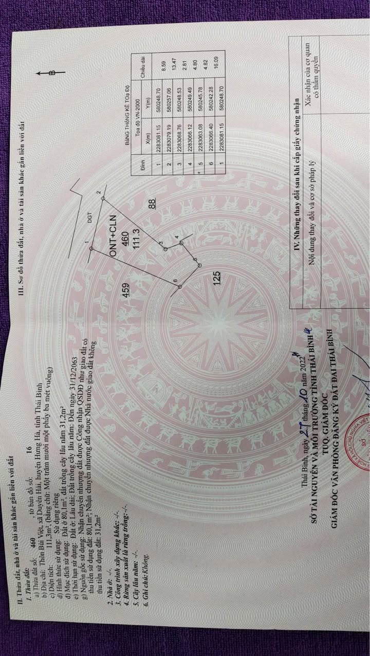 Đất thổ cư tại thôn Bùi Việt, xã Duyên Hải, 111m² - Giá chỉ 500 triệu!