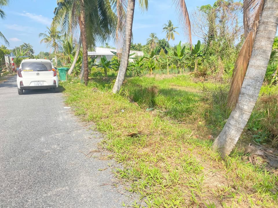 Đất nền 192m² tại Đường Tỉnh 907, Huyện Vũng Liêm - Cơ hội đầu tư hấp dẫn!