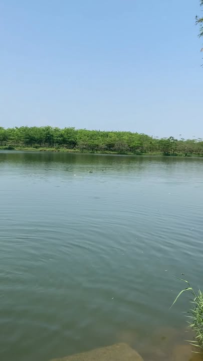 Đất nền Mậu Tài, Phú Vang, Huế 247m² giá 8 triệu - View sông Hương tuyệt đẹp!