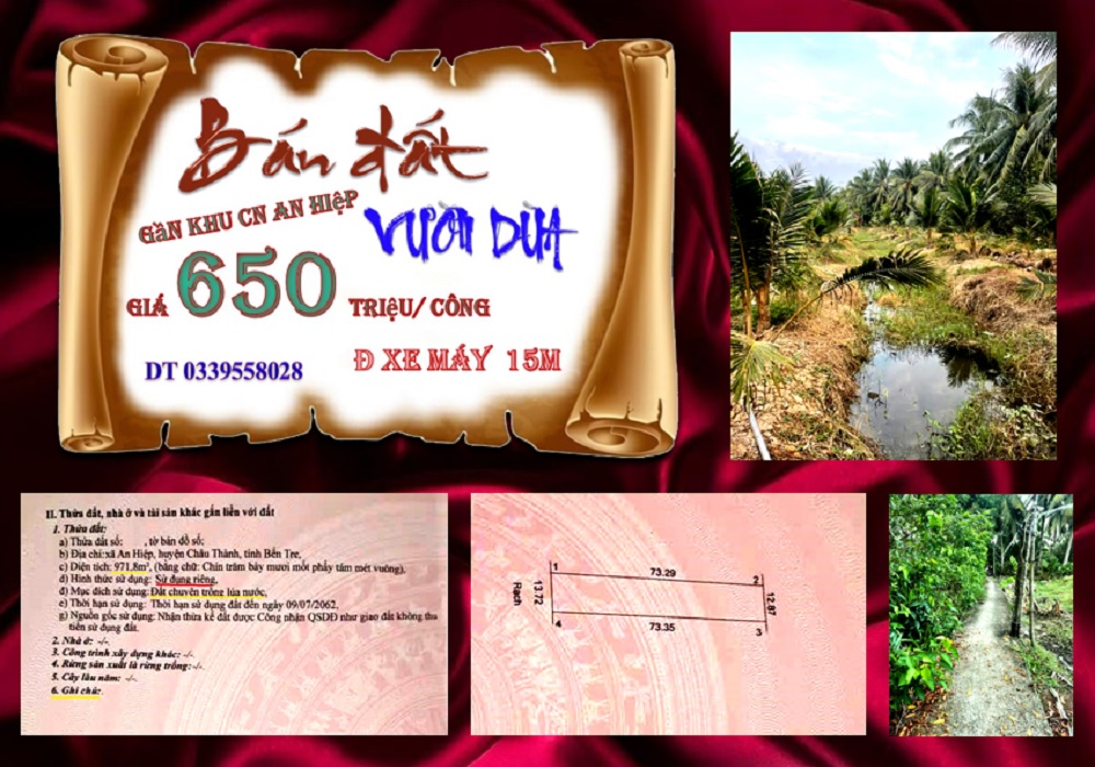 Đất An Hiệp, Ba Tri, Bến Tre 971m² giá 650 triệu - Đầu tư sinh lời!