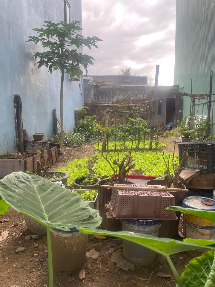 Lô đất mặt tiền Trường Chinh Đà Nẵng 71m² giá thương lượng - Cơ hội đầu tư tốt!