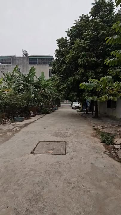 Đất dịch vụ Lại Yên, Hoài Đức 61m² giá thỏa thuận - Cơ hội đầu tư lý tưởng!