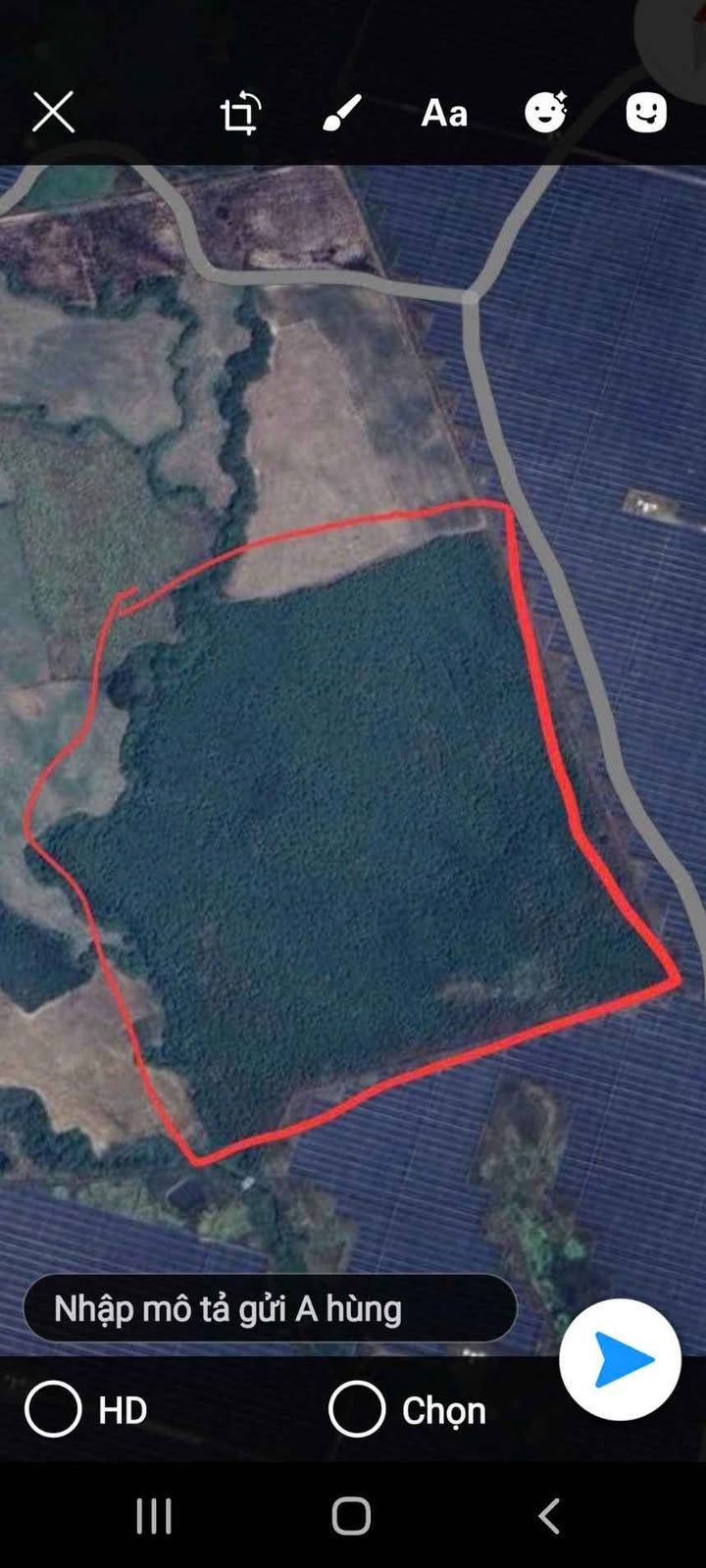 Đất nông nghiệp 7ha tại Huyện Phú Hòa, Phú Yên - Thích hợp cho trồng cây, cho thuê giá thỏa thuận!