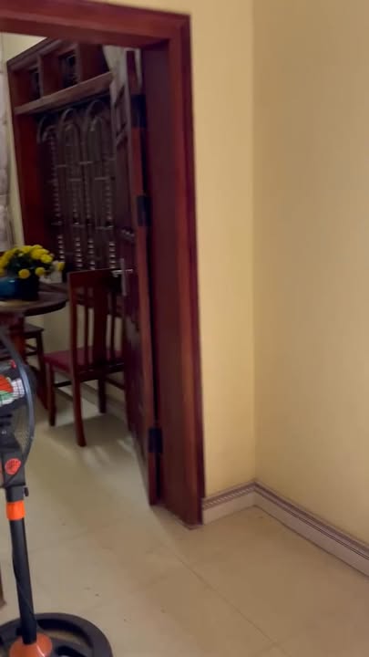 Đất nền 1100m² tại đường TL295B, xã Hưng Lộc, huyện Lục Nam - Cơ hội đầu tư tuyệt vời!