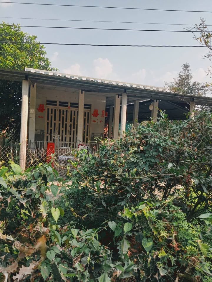 Đất nền xã Mỹ Lợi A, huyện Cái Bè 3300m² giá 2.1 tỷ - Sổ đỏ chính chủ!