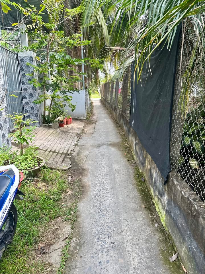 Đất nền xã An Thạnh Thủy, Tiền Giang 100m² chỉ 260 triệu - Cần bán gấp!