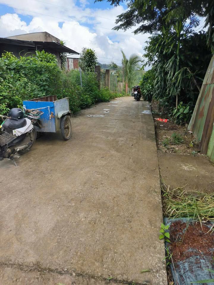 Đất nền Lộc Châu - Bảo Lộc 2000m² giá 3.6 tỷ - Sổ đỏ chính chủ!