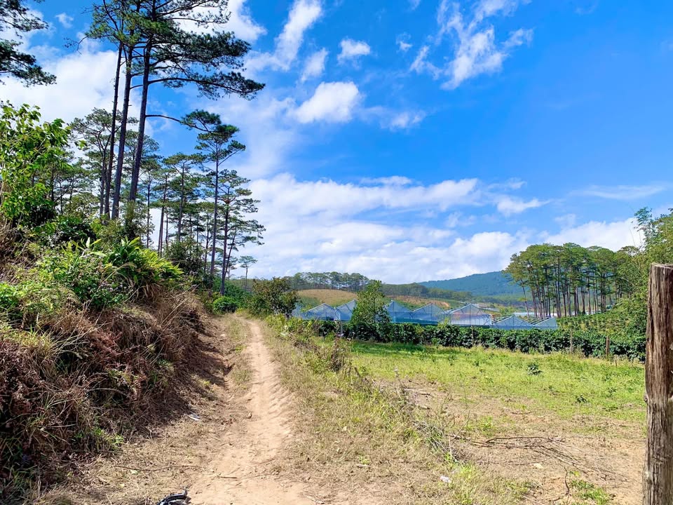 Đất vườn 8 sào tại Đạ Nhim, Lạc Dương - Giá 3 tỷ, đường ô tô thuận tiện!