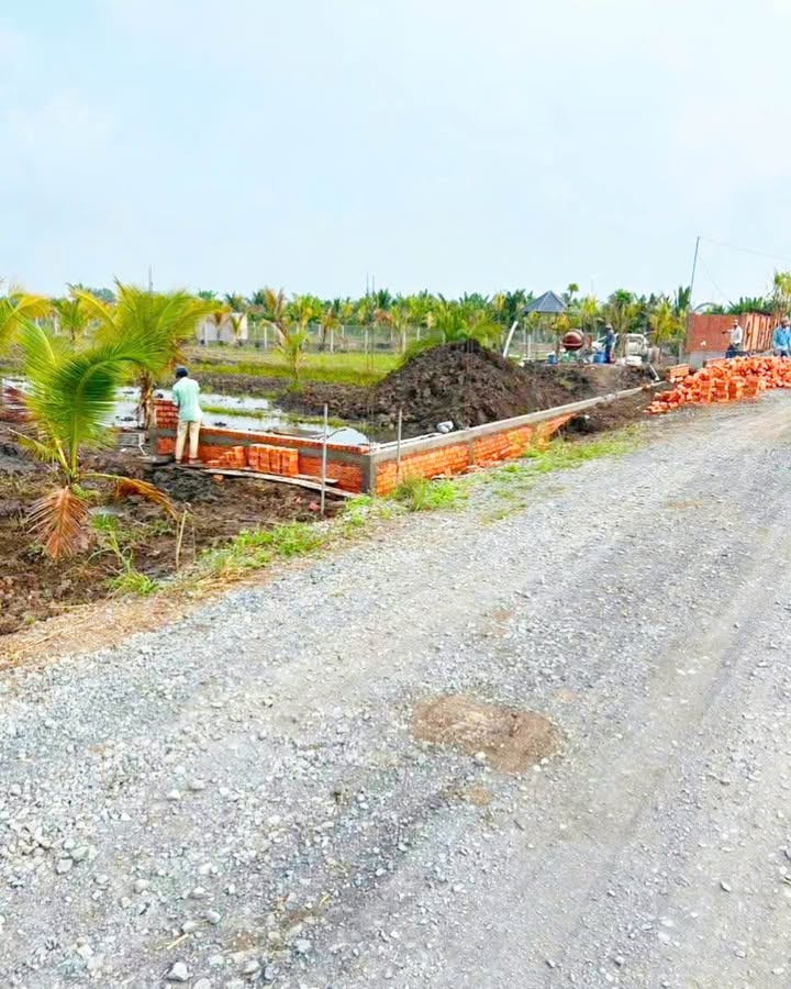 Đất nền 1000m² xã Tân Thành, Thủ Thừa giá 768 triệu - Cơ hội hiếm có!