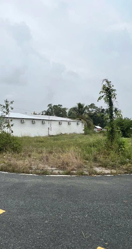 Đất nền Long Mỹ 86m² giá thỏa thuận - Đầu tư sinh lời ngay!