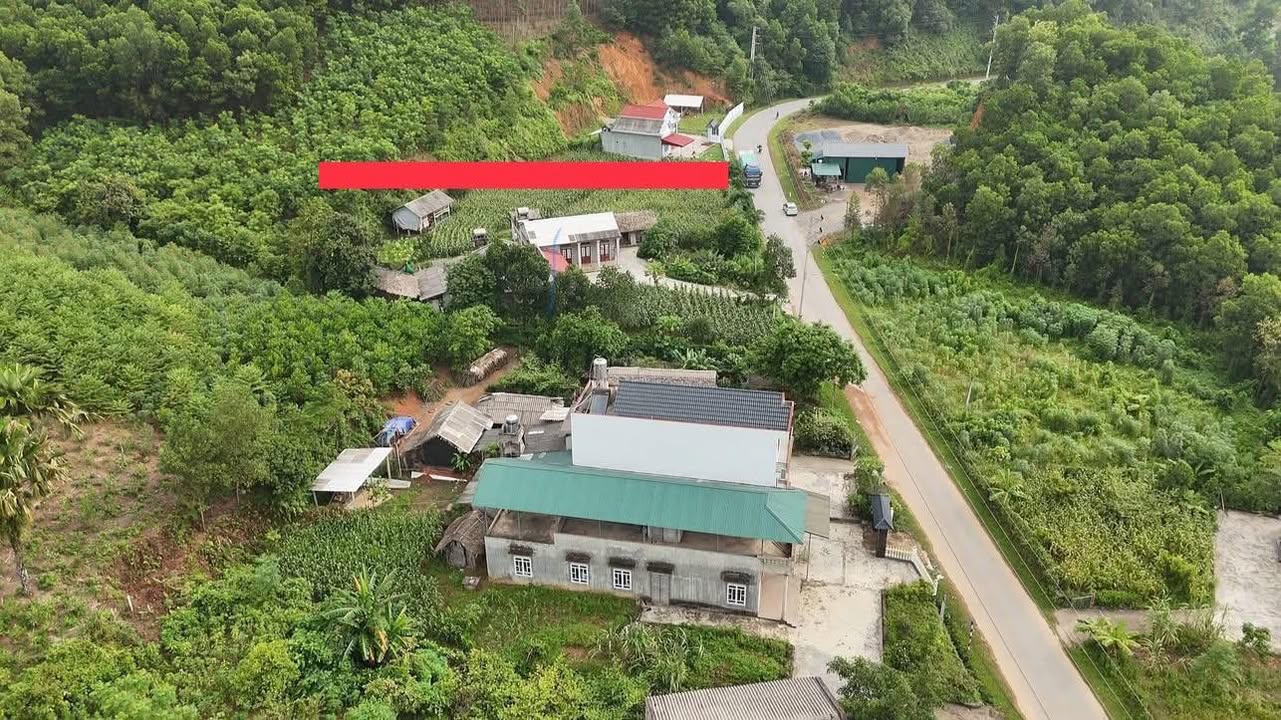 Đất mặt tiền đường lộ tỉnh Yên Lập 180m² giá chỉ 300 triệu - Cơ hội đầu tư hấp dẫn!