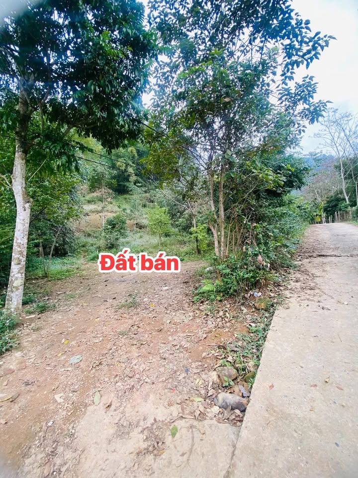 Đất nền tại Hiền Lương, 991m² giá 1,1 tỷ - Phù hợp làm nhà vườn nghỉ dưỡng!