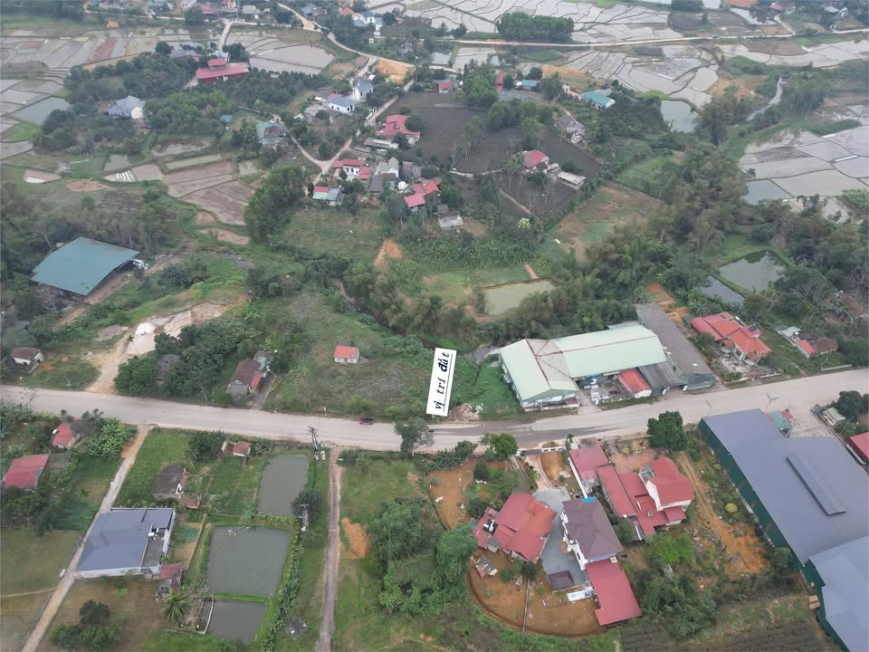 Đất nền xã Sơn Hùng, huyện Thanh Sơn, 400m² - Cơ hội đầu tư sinh lời!