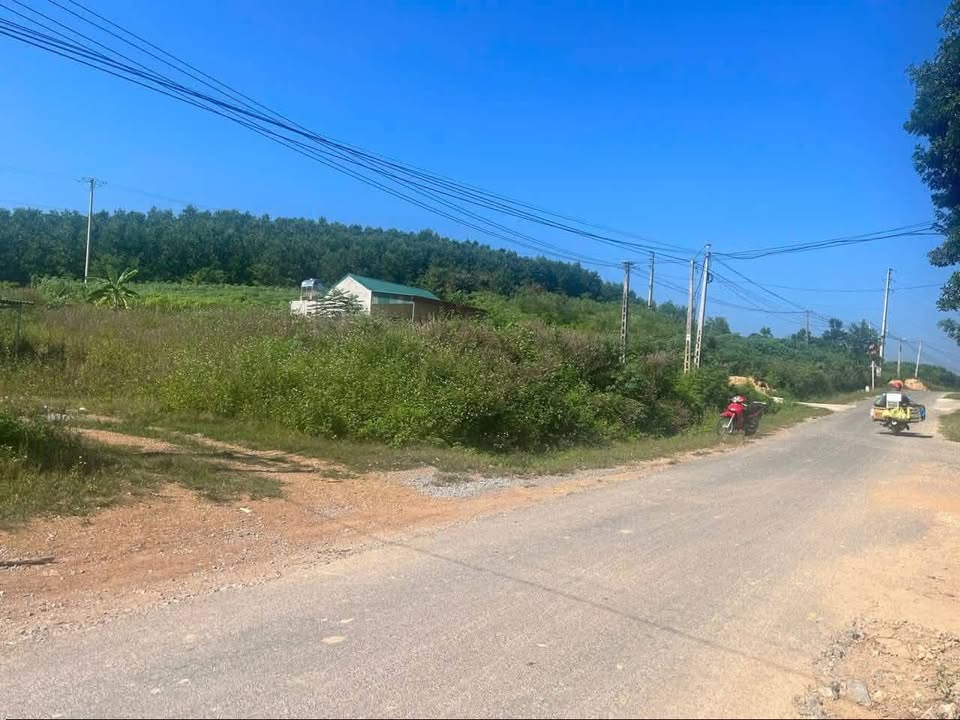 Đất nền Xuân Thái, Như Thanh 200m² giá 400 triệu - Đường nhựa rộng rãi