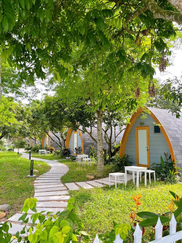 Đất nền Hòa Vang Đà Nẵng 139,5m² giá chỉ 990 triệu - Đầu tư sinh lời ngay!