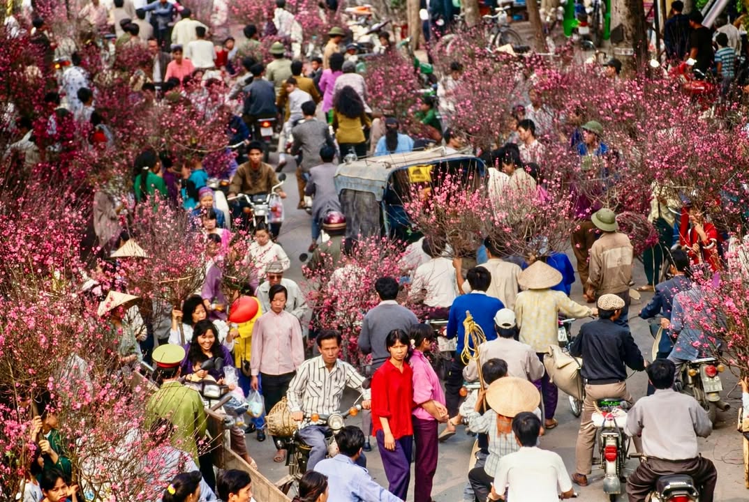 Nhà riêng Bạch Mai, Quận Hai Bà Trưng 45m² giá 10.9 tỷ - Dân xây chắc chắn, sẵn sàng vào ở!