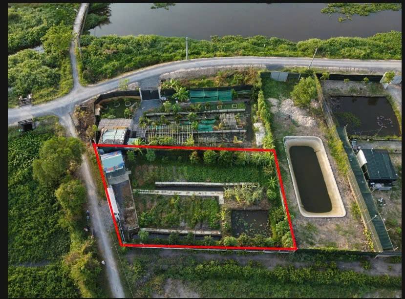 Nhà vườn mặt tiền kênh Bình Mỹ, Củ Chi 576m² giá 2.8 tỷ - Gần Vành Đai 3