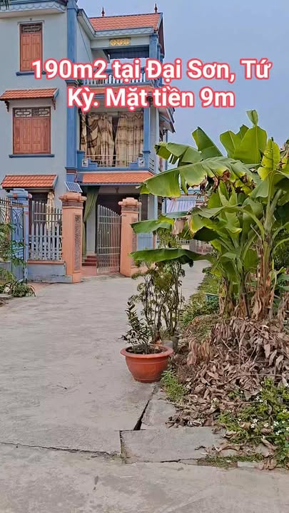 Đất nền Đại Sơn, Tứ Kỳ 188.5m² giá chỉ 1 tỷ - Đầu tư sinh lời ngay!