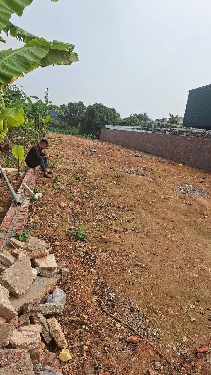 Đất thổ cư 250m² tại thôn Mạn Đê, Nam Trung - Tiềm năng đầu tư vượt trội!