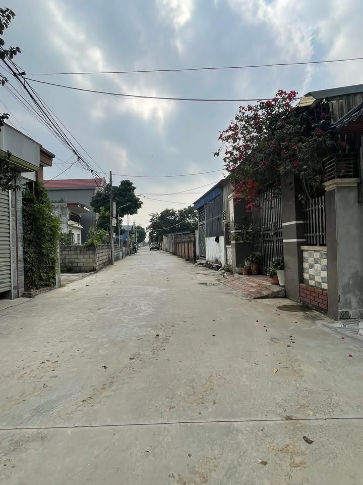 Đất nền tại xã Quyết Tiến, huyện Tiên Lãng, 85m² giá 1 tỷ - Đầu tư sinh lời cao!