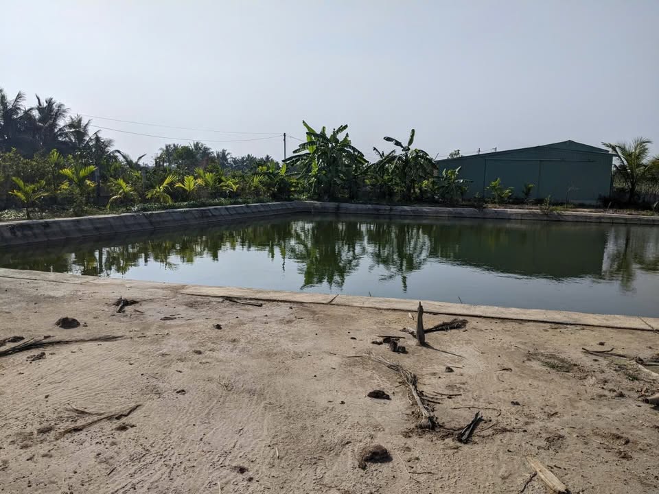 Nhà vườn Hòa Nghĩa, Dương Kinh, Hải Phòng 2800m² giá 4 tỷ - Không gian nghỉ dưỡng lý tưởng!