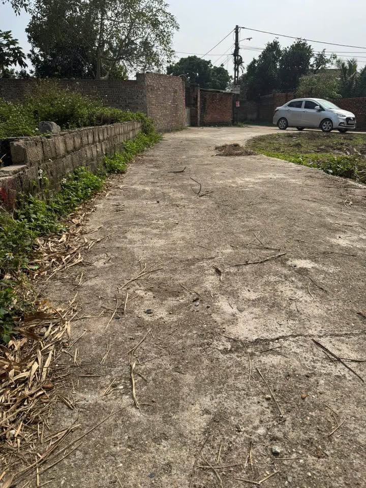 Đất liền kề tại Danh Thắng - Hiệp Hòa - 233m² giá chỉ 1 tỷ - Đầu tư sinh lời!