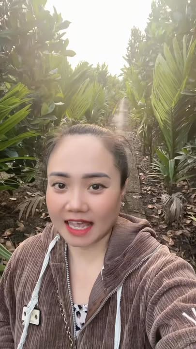 Vườn mít Thái 1.750m² 2 mặt tiền tại Thạnh Phú, Đồng Tháp - Giá chỉ 800 triệu