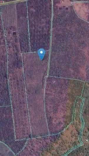 Đất thổ cư 6 sào tại Lộc An, Bảo Lâm - Giá chỉ 3.9 tỷ - Sổ đỏ chính chủ!