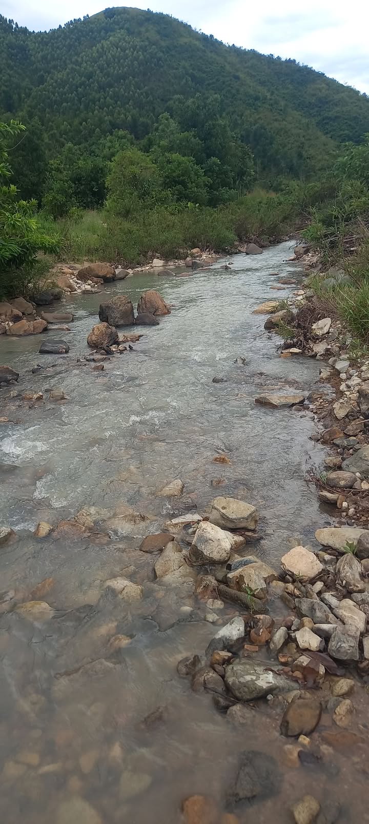 Đất nông nghiệp 6.2ha tại Xuân Long, Phú Yên - Giá chỉ 682 triệu