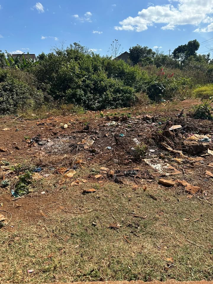 Đất thổ cư Cư Suê 120m² giá 1.25 tỷ - Cơ hội đầu tư tuyệt vời!