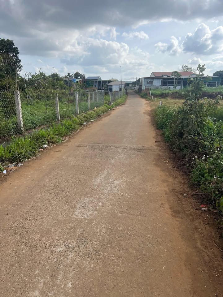 Đất nền chính chủ tại phường Thống Nhất, 258m² - Vị trí đẹp, thuận lợi!