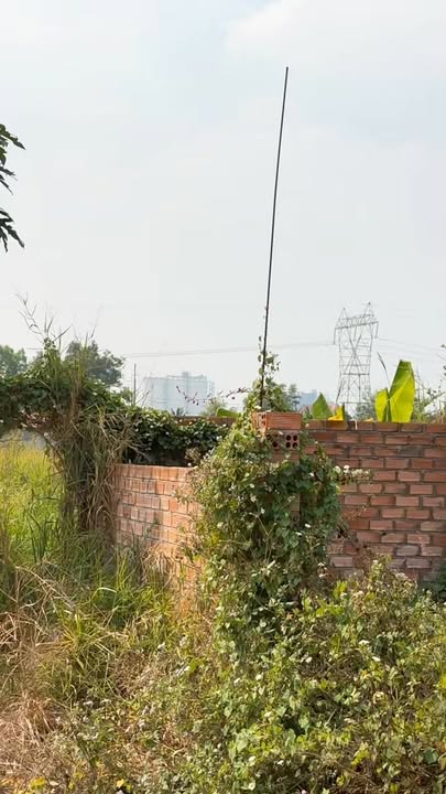 Đất nền 109m² tại Ấp 1 Sông Trầu, Trảng Bom - Giá chỉ 695 triệu!