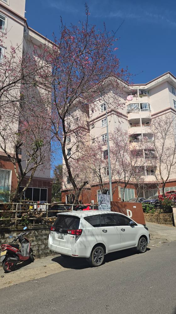 Căn hộ Chung cư Yersin Đà Lạt 68m² giá 1.84 tỷ - Căn góc thoáng sáng, dọn vào ở ngay!