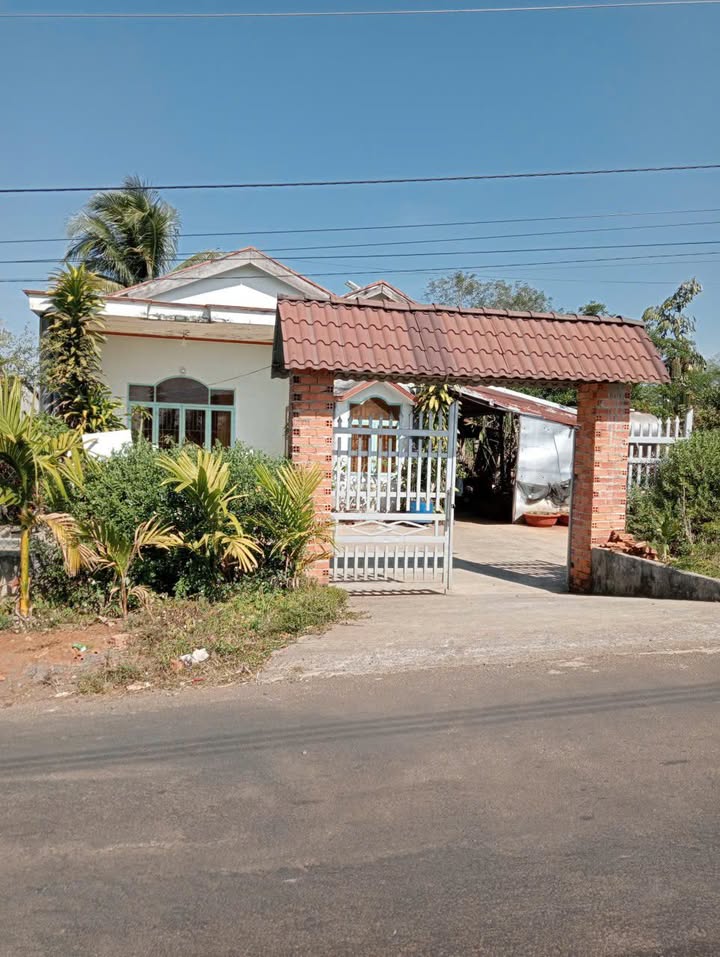 Nhà mặt tiền Đường Lê Thánh Tông, Đắk Nia, 400m² giá 1.5 tỷ - Bán gấp trước Tết!