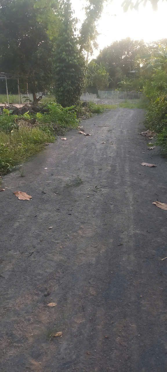 Đất nền Phú Thanh, Tân Phú, 115m² giá chỉ 90 triệu - Sổ đỏ chính chủ!