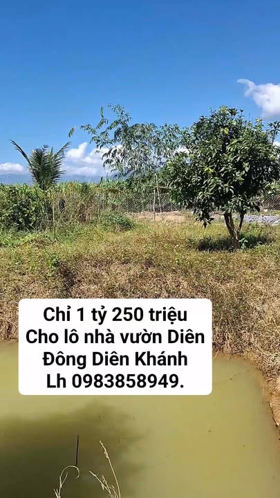 Nhà vườn Diên Đồng Huyện Diên Khánh 2400m² giá 1.25 tỷ - Sẵn sàng vào ở ngay!