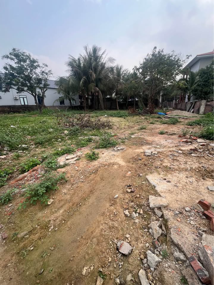 Đất nghỉ dưỡng tại Thị trấn Hợp Châu, 533m², chỉ 5 tỷ - Pháp lý rõ ràng!