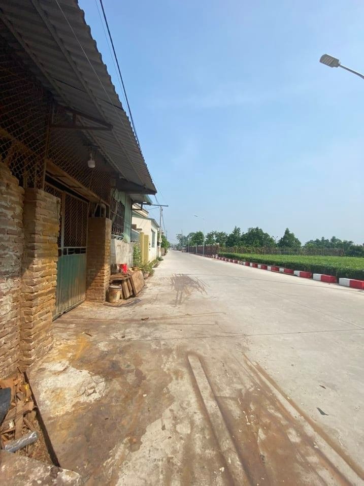 Đất nền Tự Nhiên Thường Tín 52,9m² giá 3,2 tỷ - Đầu tư tiềm năng ngay hôm nay!